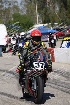 media/Aug-03-2024-TrackDaz (Sat) [[30bed884ff]]/A Group/Grid/